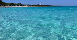 Copertina di Il mare più bello d’Italia è in Puglia: il 99% della sua costa ha un’acqua eccellente. Segue la Sardegna, ultimo l’Abruzzo: ecco la classifica completa