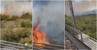 Copertina di Carso, nuovo incendio a Duino: interrotto il traffico ferroviario, chiuso il raccordo autostradale – Video