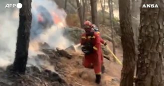 Copertina di Vasto incendio in Spagna, mille ettari di foresta bruciati a Santa Cruz del Valle: i vigili del fuoco al lavoro – Video