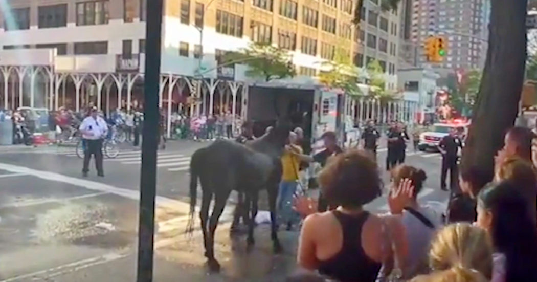 Cocchiere colpisce cavallo crollato a terra per il caldo. Interviene la polizia: il video dell’incidente che scuote New York