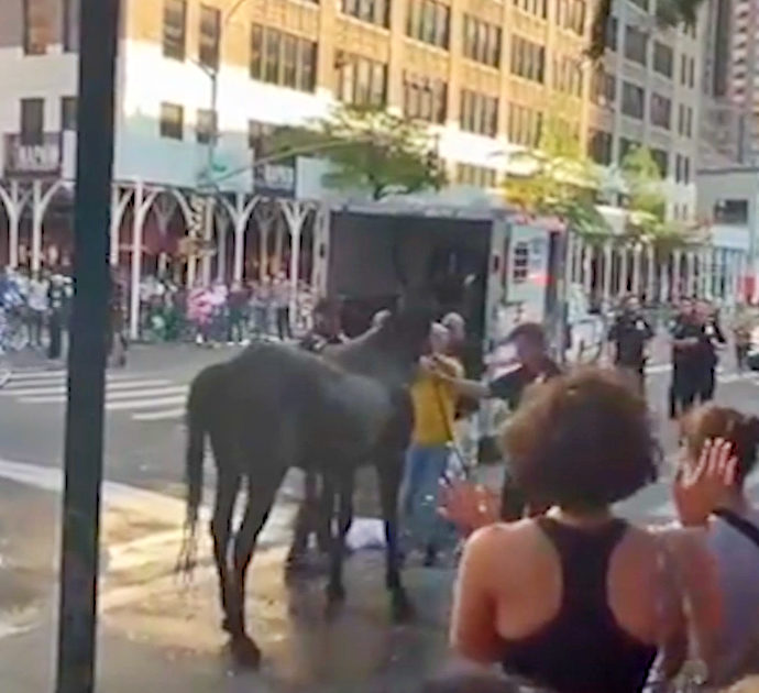 Cocchiere colpisce cavallo crollato a terra per il caldo. Interviene la polizia: il video dell’incidente che scuote New York