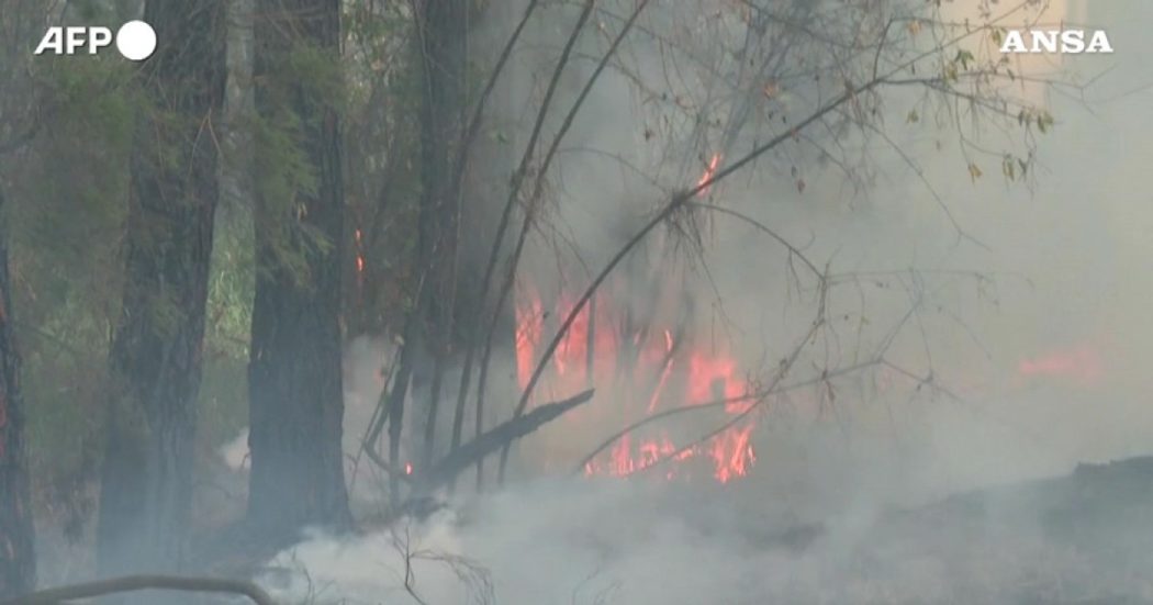 Incendi in Francia, in fumo oltre 6000 ettari: evacuate circa 10mila persone. Vigili del fuoco al lavoro nel sud-ovest del Paese: le immagini