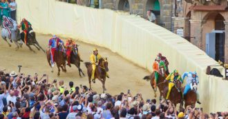 Copertina di Dentro il Palio di Siena | Dalla prevenzione al Pensionario: gli sforzi per migliorare la tutela del cavallo