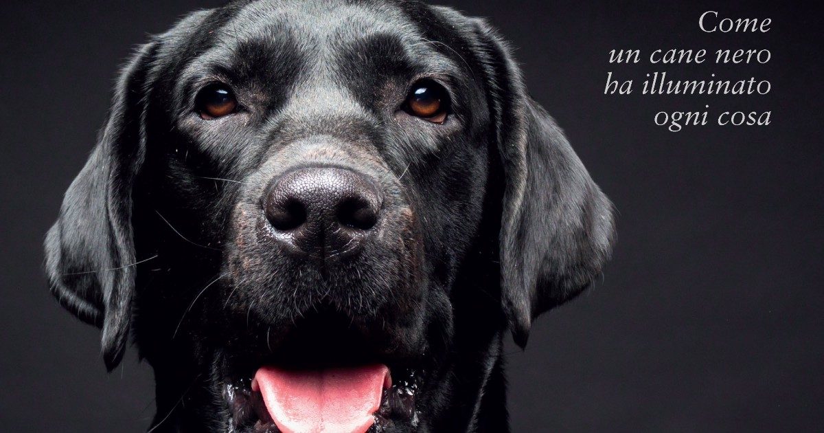 Il segreto della perfetta felicità? È un cane con cui correre. Esce in tutta Europa “La gioia di correre in salita”: con il labrador Black a respirare la vita a perdifiato