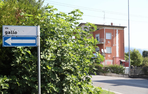 Brescia, bimbo di 2 anni colpito da un proiettile partito dalla pistola di una guardia giurata. L’uomo indagato per lesioni colpose