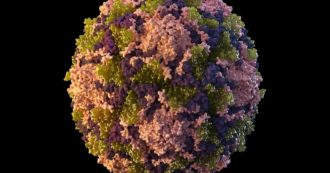 Copertina di Poliomielite, primo caso di paralisi in 10 anni negli Usa. Virus rilevato nelle acque reflue. I Cdc: “I non vaccinati sono a rischio”