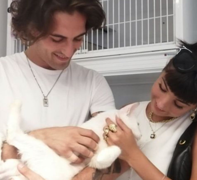 Damiano David e Giorgia Soleri adottano un gatto vittima di maltrattamenti: il primo incontro con Ziggy Stardust (VIDEO)