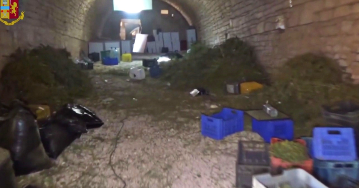 Bari, sequestro di 900 chili di marijuana: la droga stoccata in una ex stalla a Ruvo di Puglia – Video