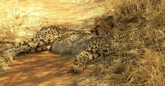 La Transafricana prosegue: dal deserto del Namib al dito di Caprivi, passando dalla Germania