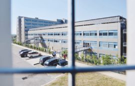 Copertina di Donna colpita da una piastra metallica caduta dal secondo piano di un palazzo a Napoli