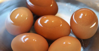 Copertina di Non raggiungi gli obiettivi aziendali? Devi mangiare uova crude: la testimonianza social di uno stagista