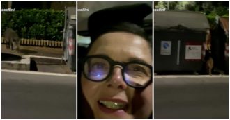 Copertina di Isabella Rossellini e l’incontro ravvicinato con due cinghiali per le strade di Roma: il video condiviso sui social