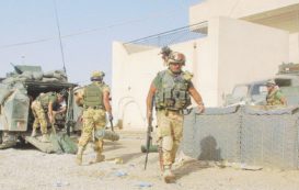 Copertina di Proteggere i litiganti e guardarsi dagli alleati