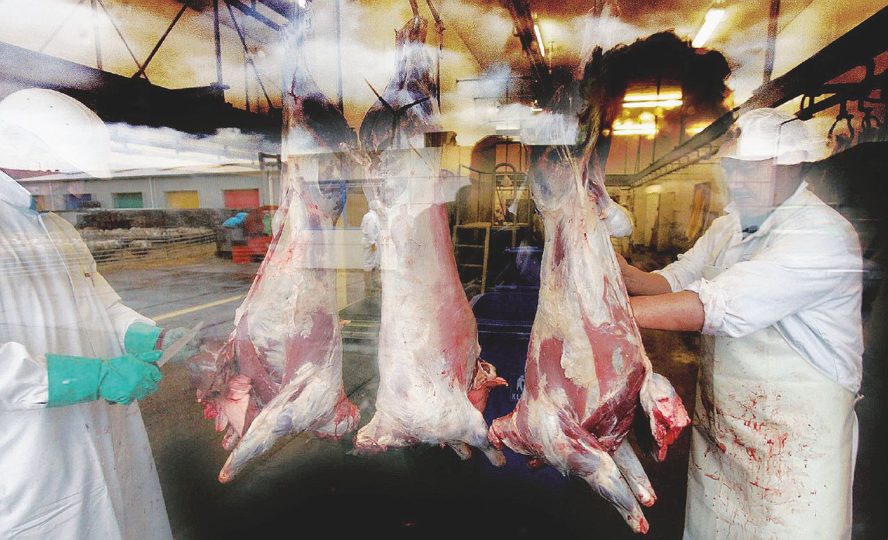 la 8216cultura della bistecca8217 e il suo impatto ambientale un problema ignorato alla cop30