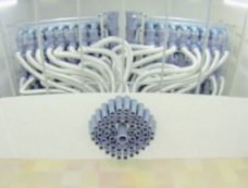 Copertina di Gaia e la “macchina dell’olfatto”. Al cinema con gli odori del film