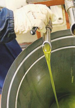 L’Europarlamento  dice  sì all’olio tunisino, senza dazi