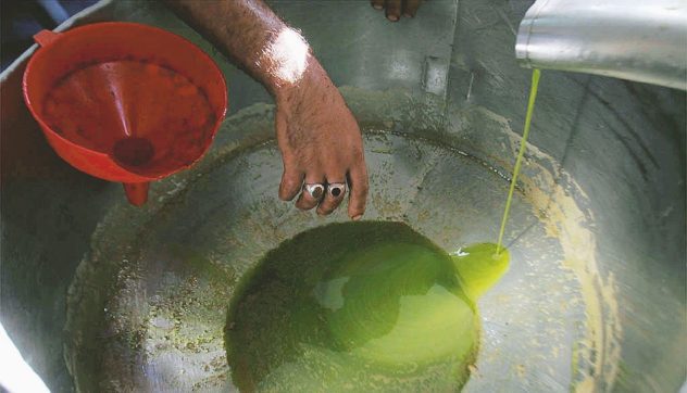 La truffa dell’olio d’oliva: c’è un problema tunisino