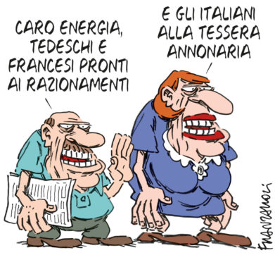 Copertina di La vignetta di Franzaroli