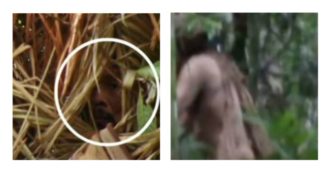 Copertina di Morto “l’uomo del buco”: trovato il corpo ricoperto di piume, ecco perché era stato soprannominato così