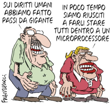 Copertina di La vignetta di Franzaroli