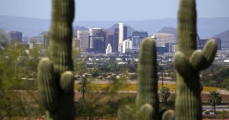 Copertina di Usa, muore il cactus di 200 anni simbolo dell’Arizona. “Colpa dei cambiamenti climatici”. Ondata di tributi e ricordi