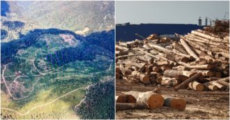 Copertina di “Le foreste protette in Romania abbattute per produrre pellet e l’Italia tra i maggiori clienti”: l’inchiesta di Eia con Greenpeace