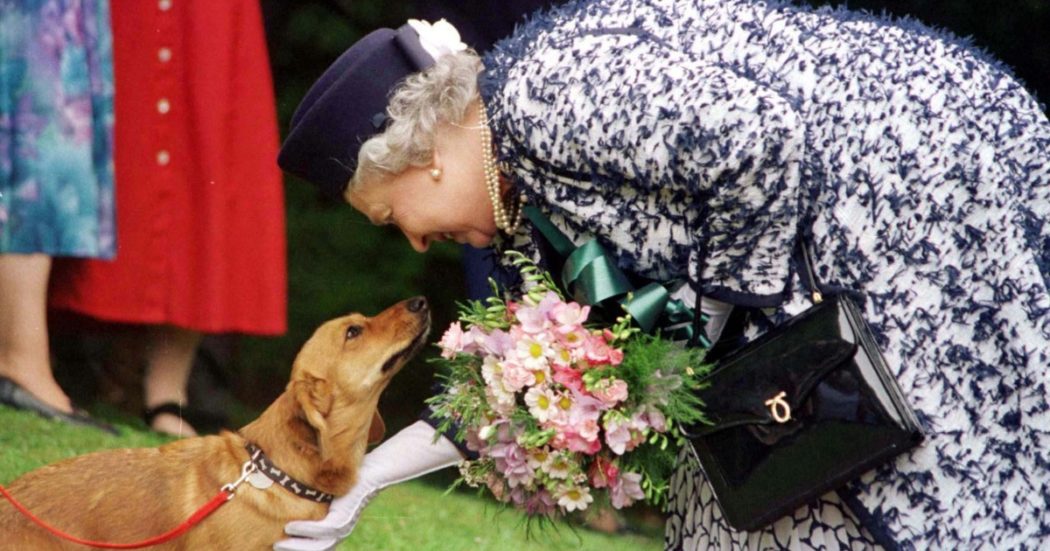 Elisabetta II, dai Kennedy alle visite a Roma con Gronchi e Andreotti: le immagini di una vita da Regina