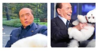 Copertina di Silvio Berlusconi su TikTok e il video da 2 milioni di views: “Questo è il figlio di Dudù”