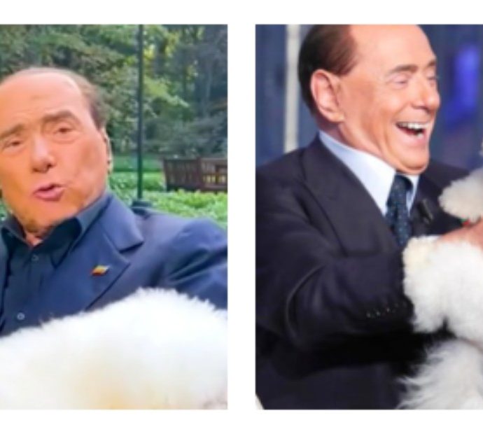 Silvio Berlusconi su TikTok e il video da 2 milioni di views: “Questo è il figlio di Dudù”