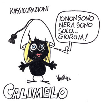 Copertina di La vignetta di Vauro