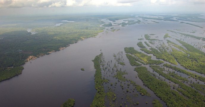 Amazzonia: con lo stop alla deforestazione, Lula può fermare la corsa del riscaldamento globale