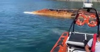 Copertina di Livorno, carcassa di una balenottera spiaggiata sulla costa: così è stata disincagliata – Video