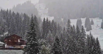 Copertina di Trentino, primi fiocchi “di stagione”: 20 centimetri di neve sopra i 2500 metri di quota
