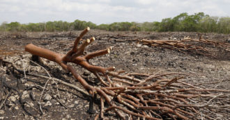 Copertina di L’Europa verso l’eliminazione dei sussidi alle biomasse forestali. Ma per gli ambientalisti troppe eccezioni e tempi incerti