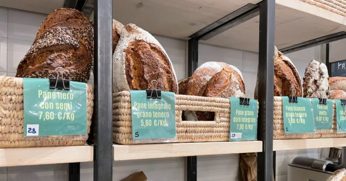 Eurostat: il prezzo del pane aumentato del 18% in tutta Europa. L’invasione russa dell’Ucraina tra le cause principali