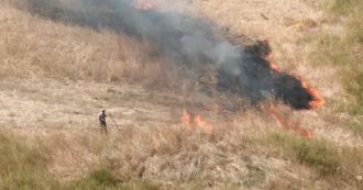 Copertina di Caltanissetta, guardie del Wwf filmano un uomo mentre appicca il fuoco in una zona di campagna: denunciato per incendio boschivo