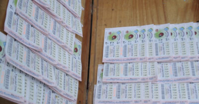 Copertina di I fratelli dalla fortuna record: vincono alla lotteria a tre anni di distanza e diventano entrambi milionari