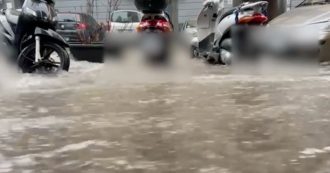 Copertina di Crisi climatica, a Napoli strade come fiumi: allagamenti e difficoltà in varie zone della città. Le immagini dal rione sanità