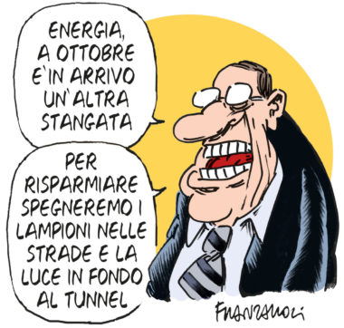 Copertina di La vignetta di Franzaroli