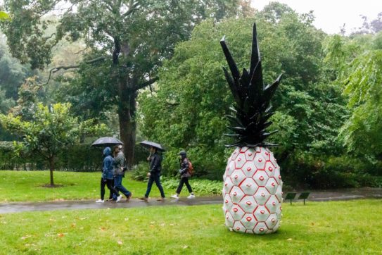 Copertina di Storia dell’ananas tra ballerine nude, bonsai e carciofi