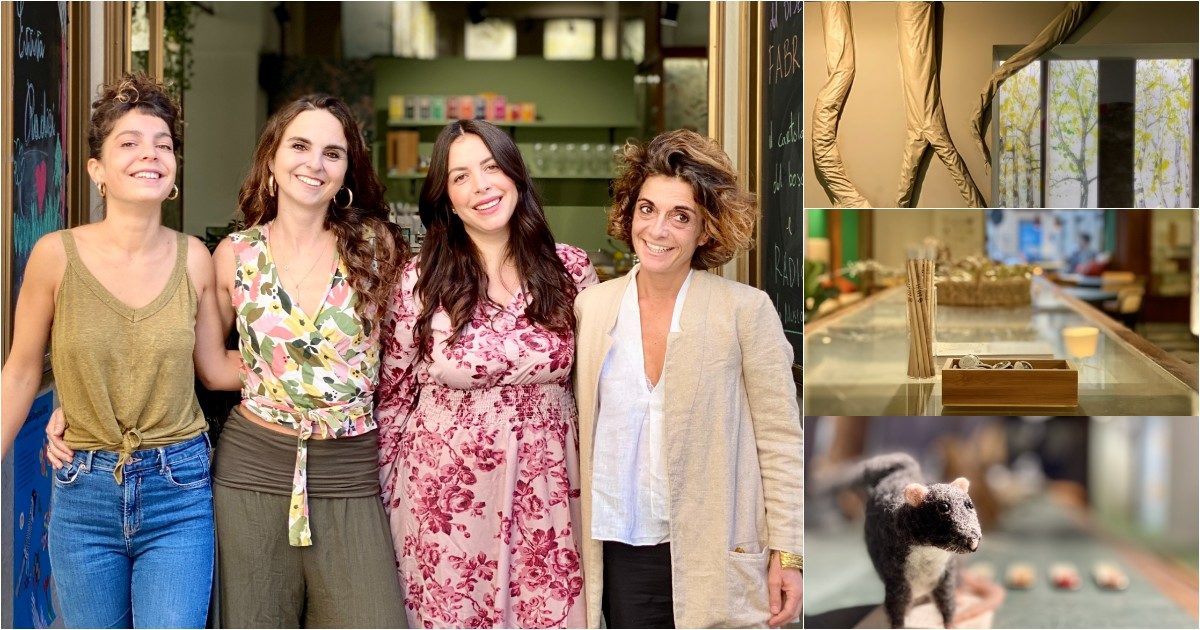 Palermo, riapre la storica cartoleria amata pure da Falcone: ora è un museo dedicato alla biodiversità del Mediterraneo