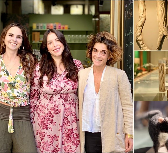 Palermo, riapre la storica cartoleria amata pure da Falcone: ora è un museo dedicato alla biodiversità del Mediterraneo