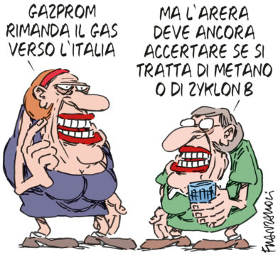 Copertina di La vignetta di Franzaroli