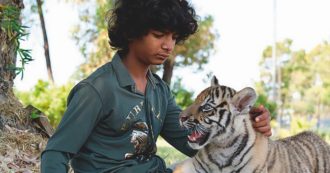 Copertina di “Il film: un punto d’incontro tra me e mio padre Folco”