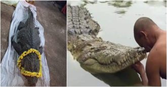 Copertina di L’India piange la morte di Babyia, il coccodrillo vegetariano venerato come un dio: aveva 75 anni e mangiava solo fiori