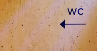 Copertina di Tutto quello che avreste voluto gettare nel water (inquinando)