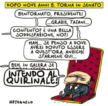 Copertina di La vignetta di Natangelo