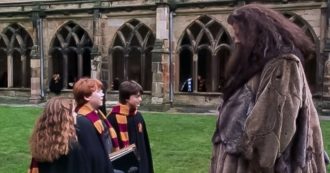 Copertina di Morto Hagrid, l’addio del cast di Harry Potter. Daniel Radcliffe: “Un attore incredibile e un uomo adorabile”. Emma Watson: “Così immenso che aveva senso che interpretasse un gigante”