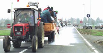 Copertina di Quote latte, 30 anni dopo multe annullate o prescritte