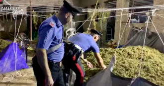 Copertina di Sassari, blitz dei carabinieri nel laboratorio della droga: sei arresti e una denuncia – Video